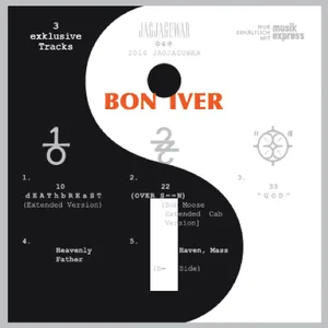 Bon iver